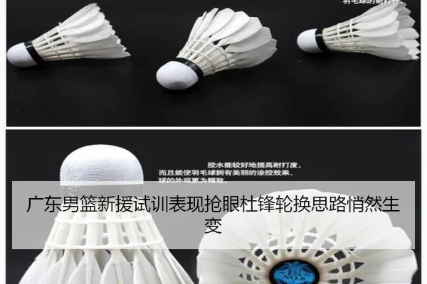 广东男篮新援试训表现抢眼杜锋轮换思路悄然生变